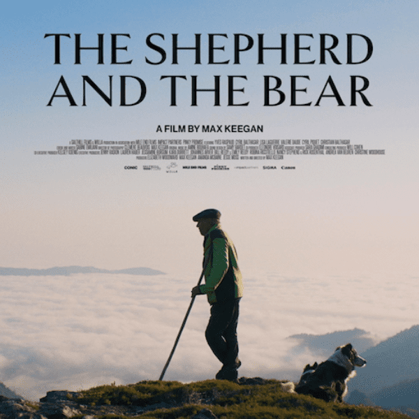 FILM - The Shepherd and The Bear banner image