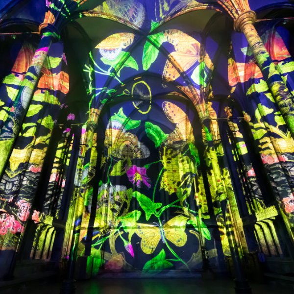 Luxmuralis' Lost Worlds &ndash; The Breathtaking Sound, Light &amp; Art Experience banner image