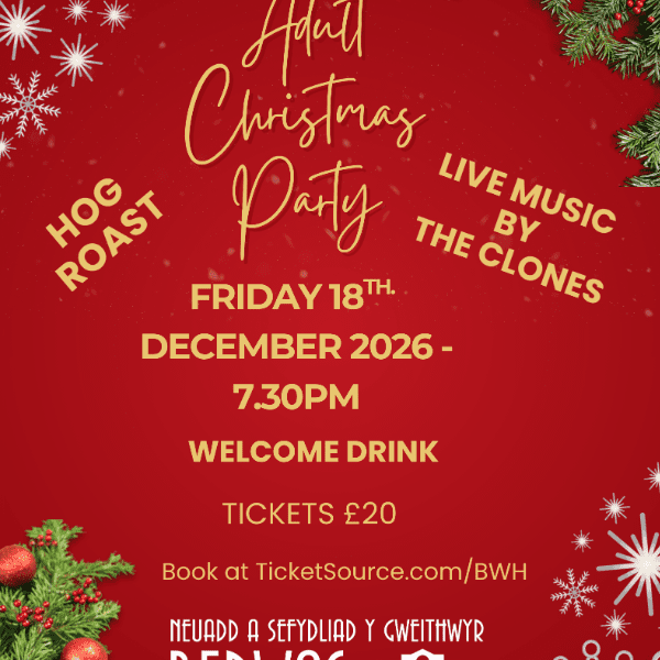 Adult Christmas Party banner image