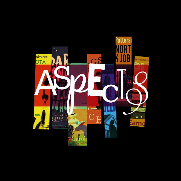 Aspects 2026: Poetry Slam Ulster Final banner image