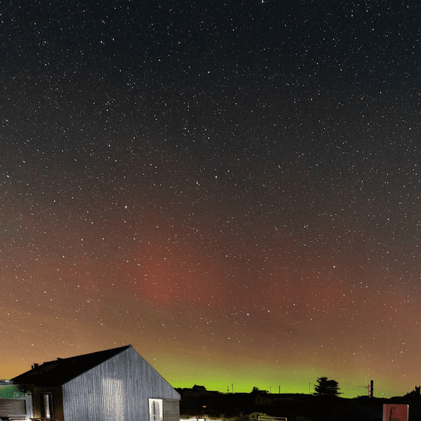 Coll &amp; The Cosmos - 3rd &amp; 4th November 2026 banner image
