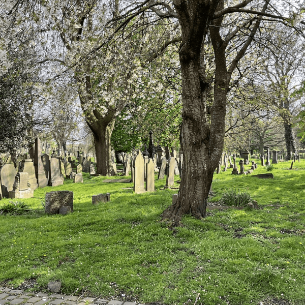 Beckett Street Cemetery - Solving History Mysteries - Taphophile Turned Detective banner image