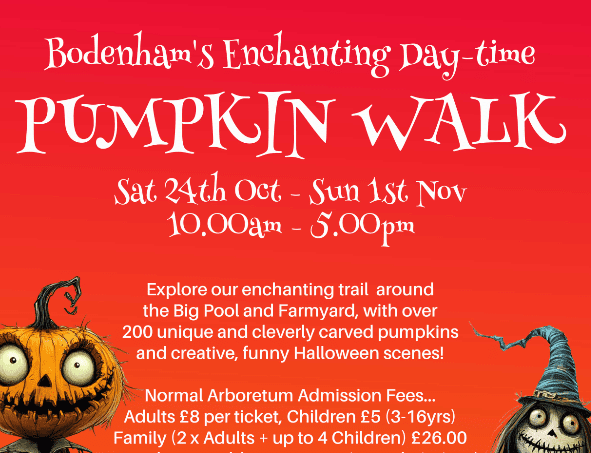 Pumpkin Walk at Bodenham Arboretum banner image