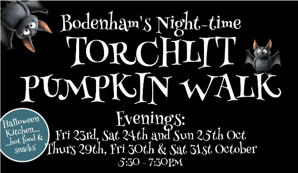 &lsquo;Torch lit Pumpkin walk&rsquo; at Bodenham Arboretum banner image