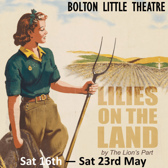 Lilies On The Land by The Lion's Part