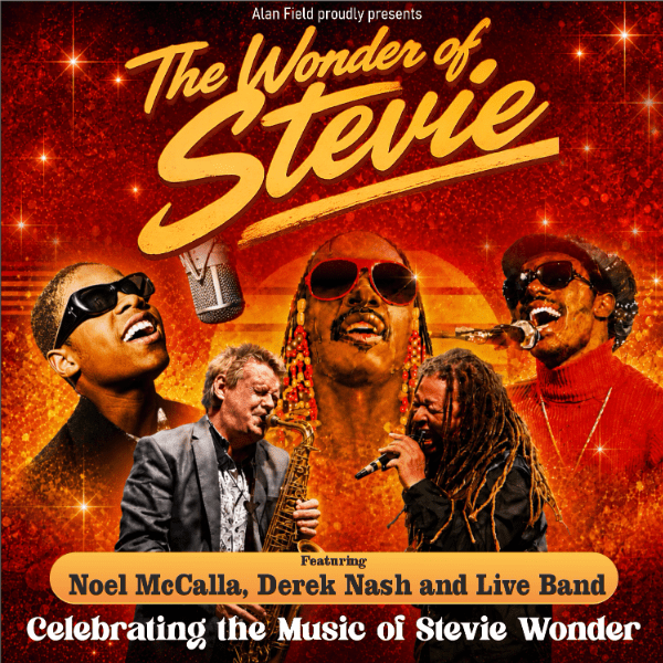 The Wonder of Stevie banner image