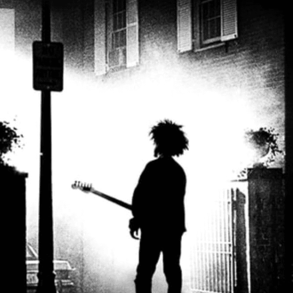 Born To Boogie banner image