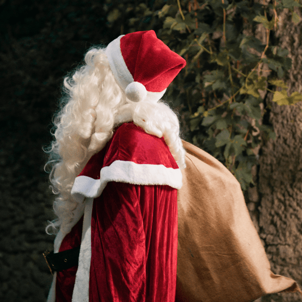 🎅✨ Meet Santa &amp; Elf School! ✨🧝 banner image