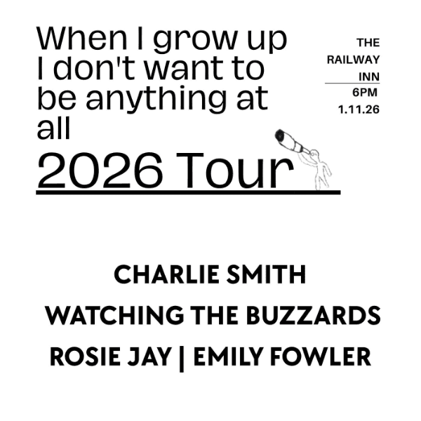 Charlie Smith // Watching the buzzards // Rosie jay // Emily fowler banner image