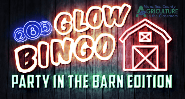 Glow Bingo: Party in the Barn Edition banner image