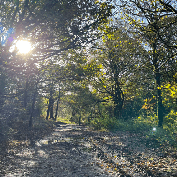Rivington Ride Out banner image