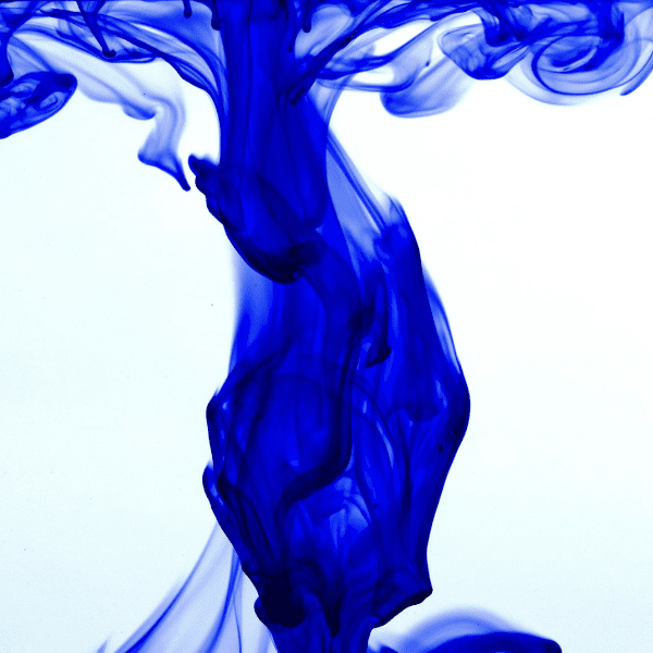 In Blue banner image