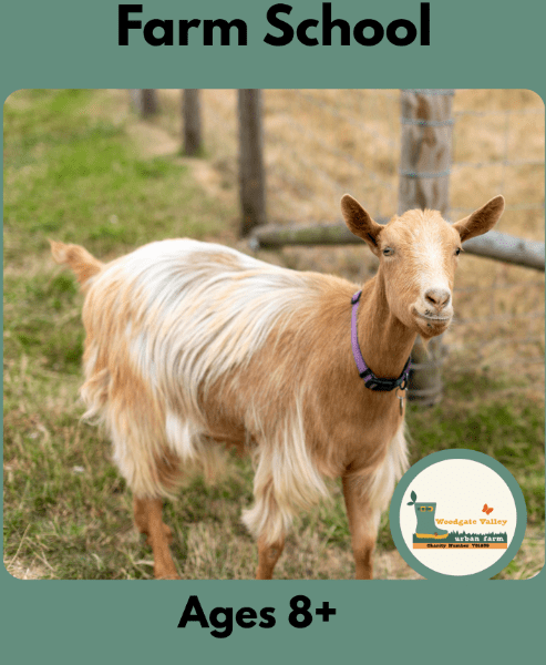 Farm School (age 8+) banner image