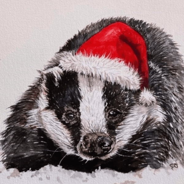 Gwent Badger Group 2026 Christmas meeting banner image