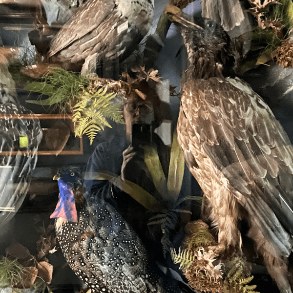 Being Human: Lives of the Dead banner image