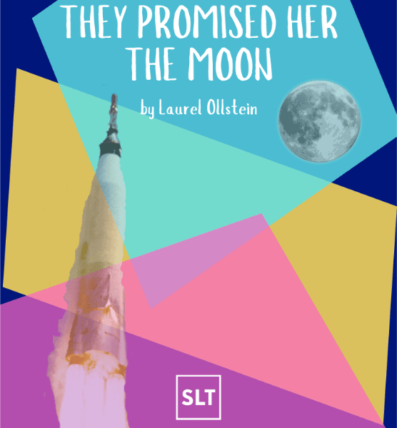 They Promised Her The Moon by Laurel Ollstein banner image