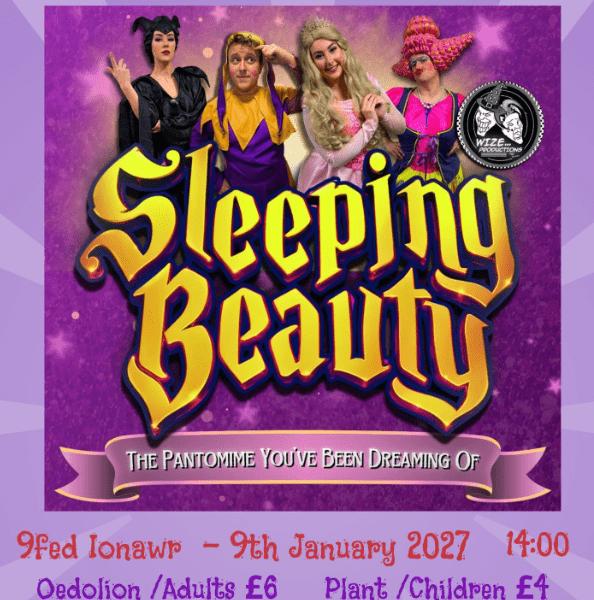 Sleeping Beaty Panto banner image