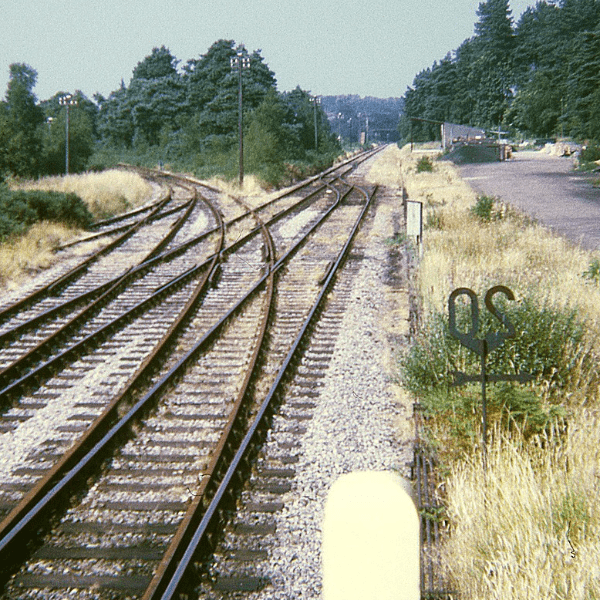 Closing the Somerset and Dorset Railway: 1951-1967. A Talk by Colin Divall. ONLINE. 5th Nov 2026. banner image