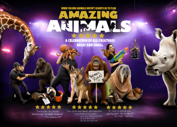 Amazing Animals