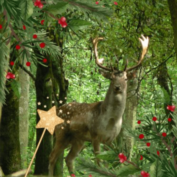 Under 5s Christmas Workshop: Search for Santa&rsquo;s Deer 🎄 banner image