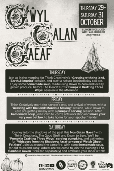 Gwyl Calan Gaeaf - Hallowe'en Festival banner image
