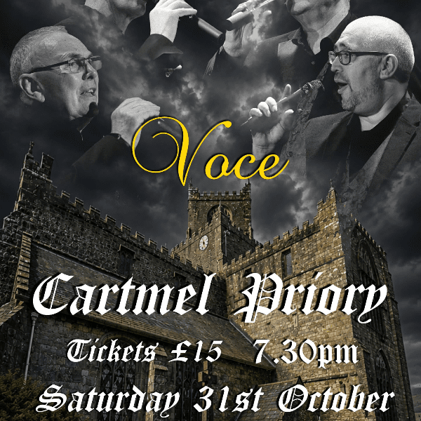 Voce banner image