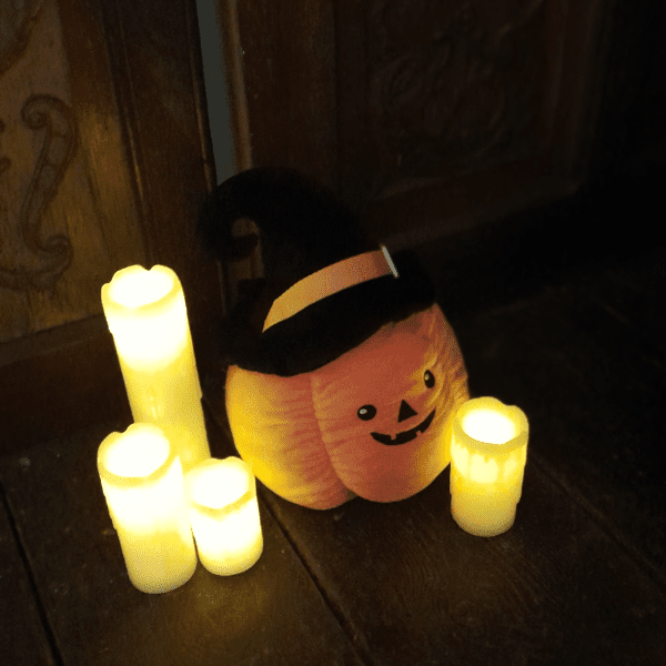 Monster Museum: A spooky after hours event! banner image
