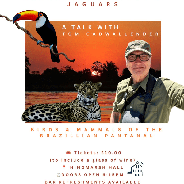 Jacamars, Jabirus and Jaguars - Birds and Mammals of the Brazillian Pantanal banner image
