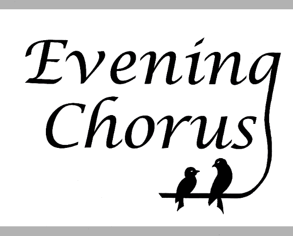 Christmas Soir&eacute;e - an evening of festive music banner image