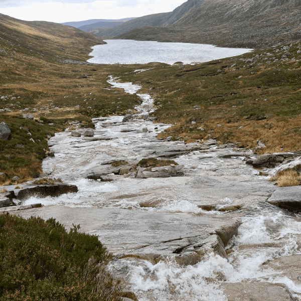 BALLATER WALKING FESTIVAL - LOCHNAGAR via  LOCH MUICK and DUBH LOCH (MUNRO) - STRONG WALK banner image