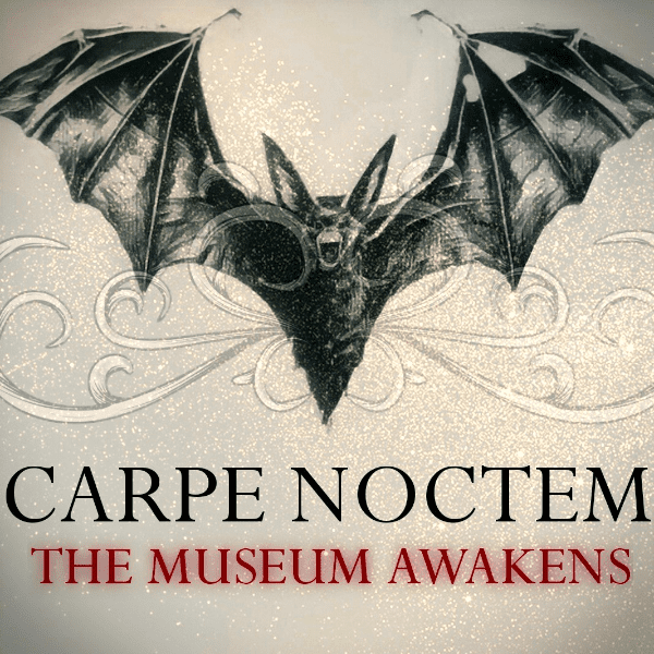 Carpe Noctem | The Museum Awakens banner image