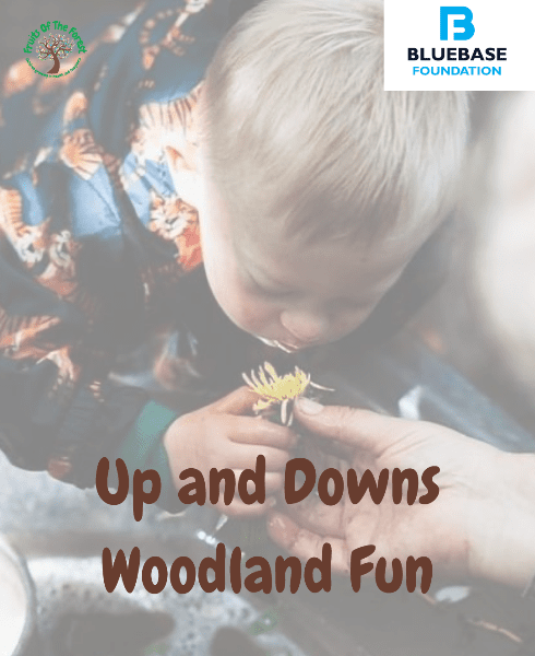 Up and Downs Woodland Fun banner image
