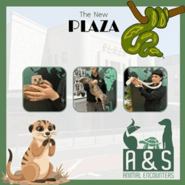 A&amp;S Animal Encounters banner image