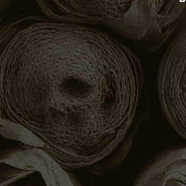 The Shroud Maker banner image