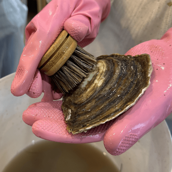 Harbour Oysters 'Oyster Scrub', Littlehampton - 1330-1530 banner image