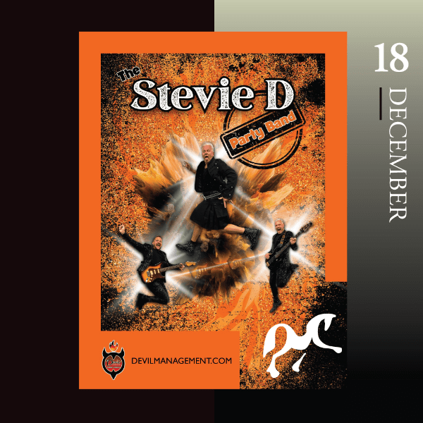 The Stevie D Party Band - ALL INCLUSIVE DRINKS! banner image