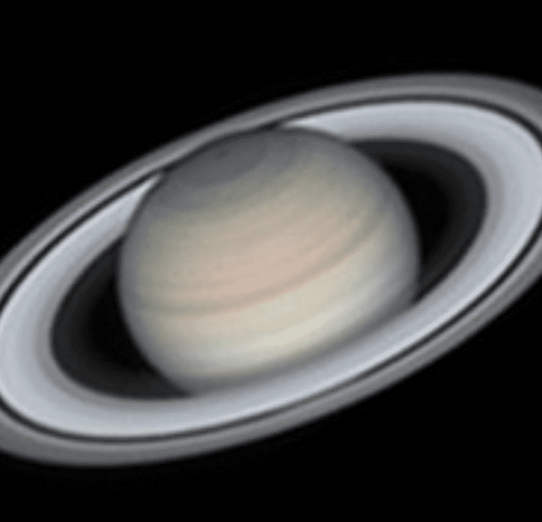 Astronomy Evening at Bassetlaw Museum banner image
