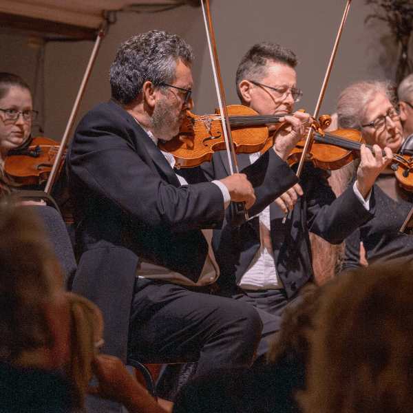 Welsh Chamber Orchestra in Church Stretton banner image