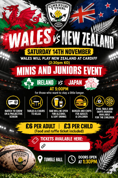 Wales V New Zealand banner image
