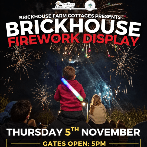 Brickhouse Firework Display banner image