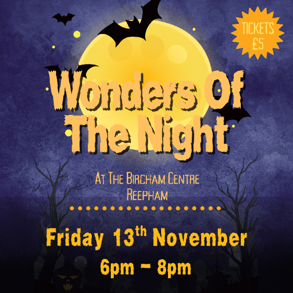 Wonders of The Night banner image