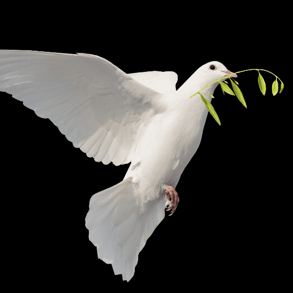 Come &amp; Sing! - The Armed Man Choral Suite &amp; The Power of Music banner image