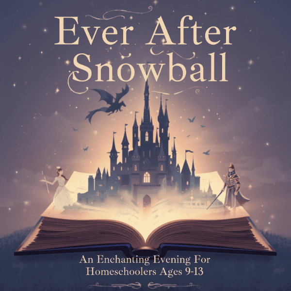 Snowball 2027 - Ever After banner image