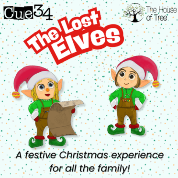 The Lost Elves banner image