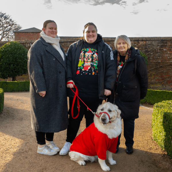 Jingle Bells &amp; Wagging Tails banner image