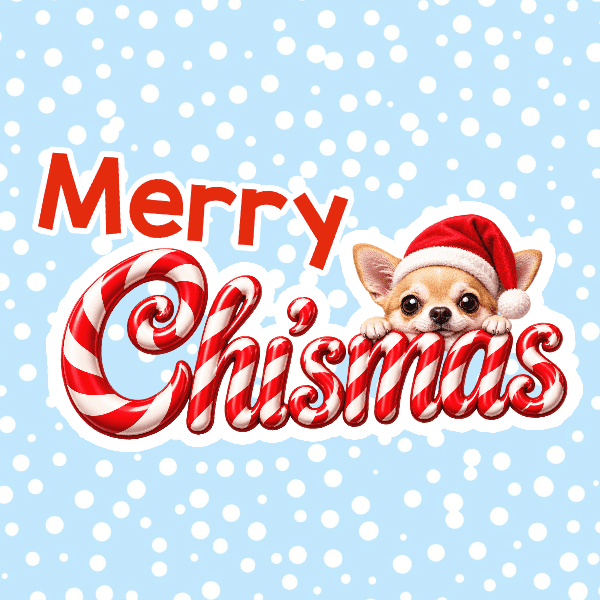 Chi&rsquo;smas 2026! banner image