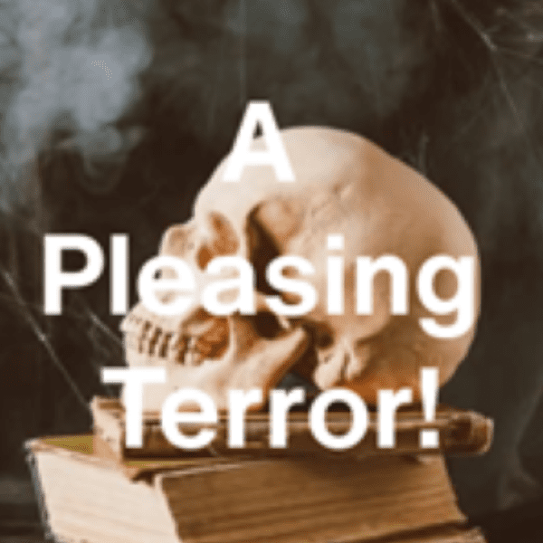A Pleasing Terror - Ghost Stories for A Winter&rsquo;s Night banner image