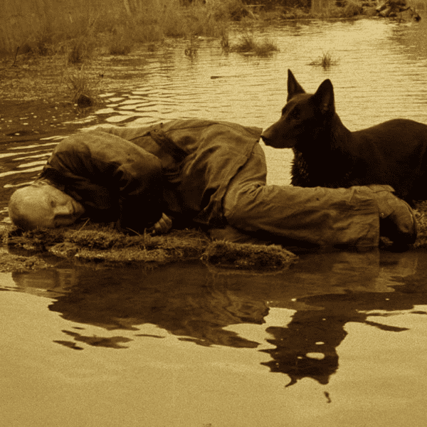 Stalker banner image