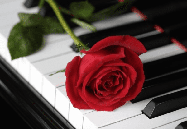 Valentine's Moonlight Sonata by Candlelight banner image