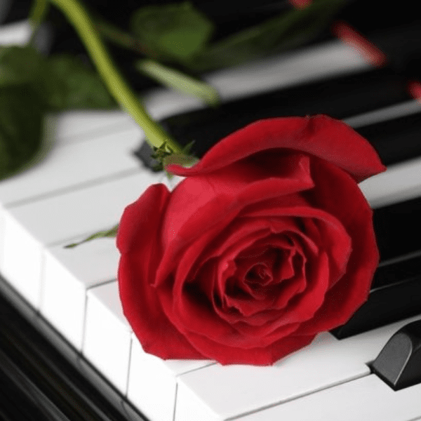 Valentine's Moonlight Sonata by Candlelight banner image